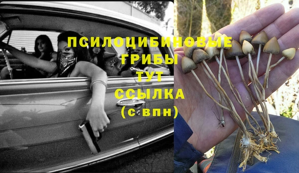 мескалин Алексеевка